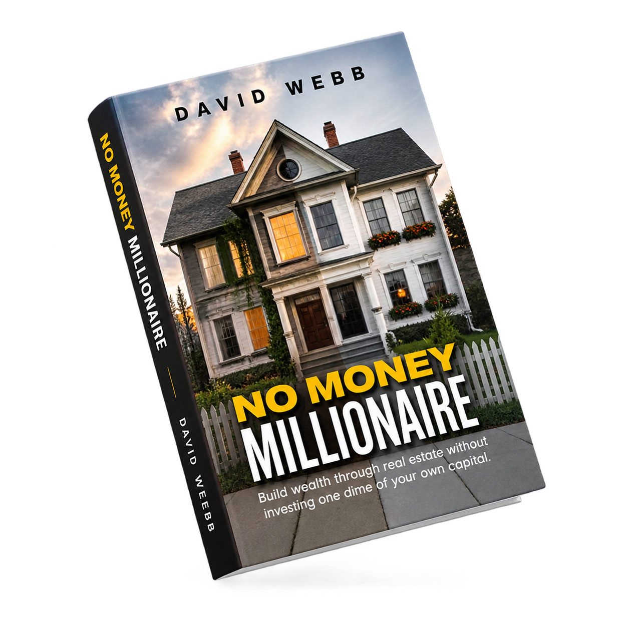 No Money Millionaire book by David Webb